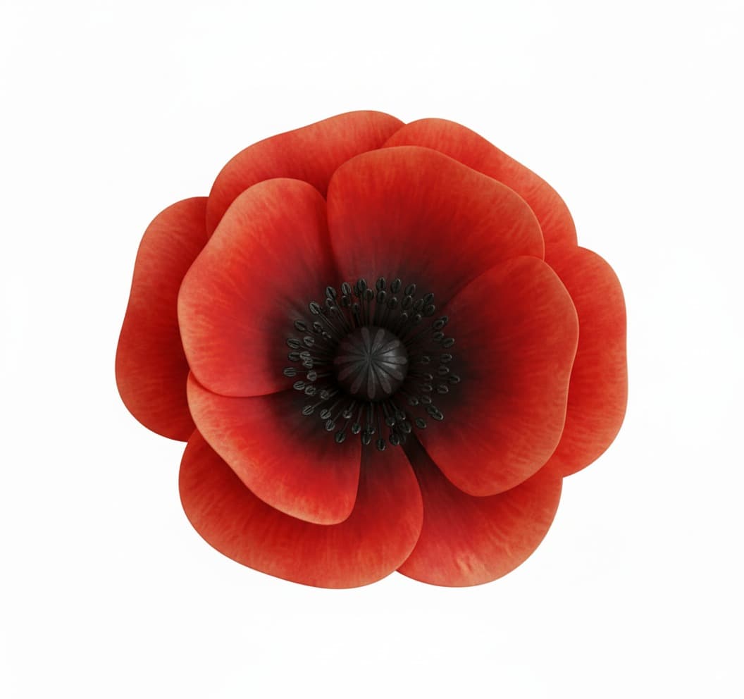 coquelicot